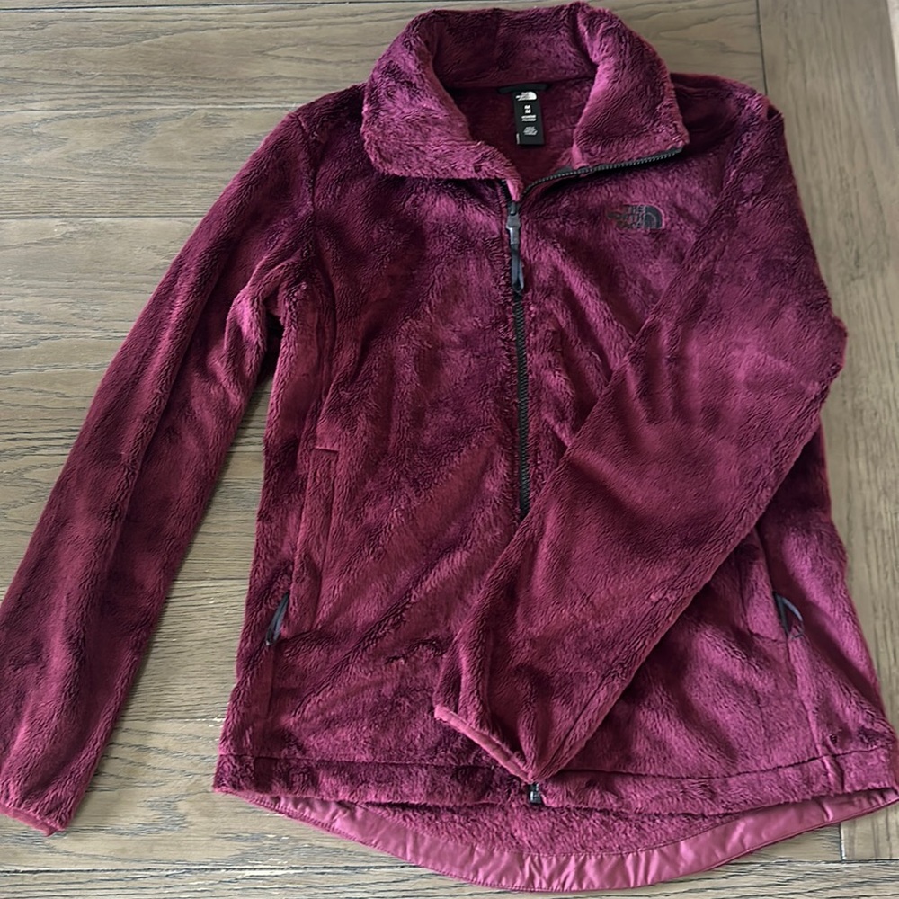 The North Face Osito II jacket
